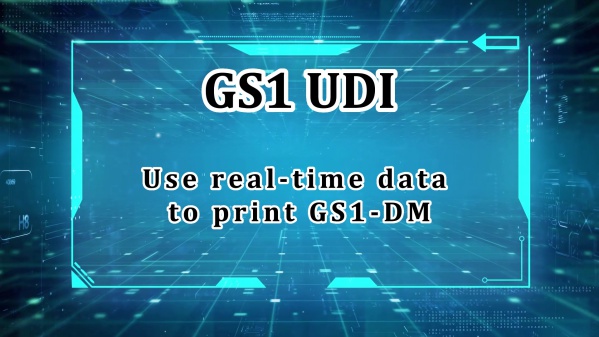 EP Manual - GS1 UDI -2